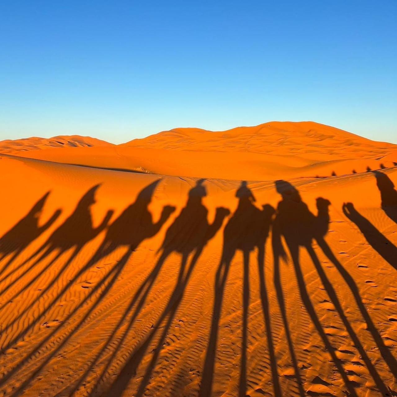 فندق Sahara Luxury Glamping مرزوكة المظهر الخارجي الصورة